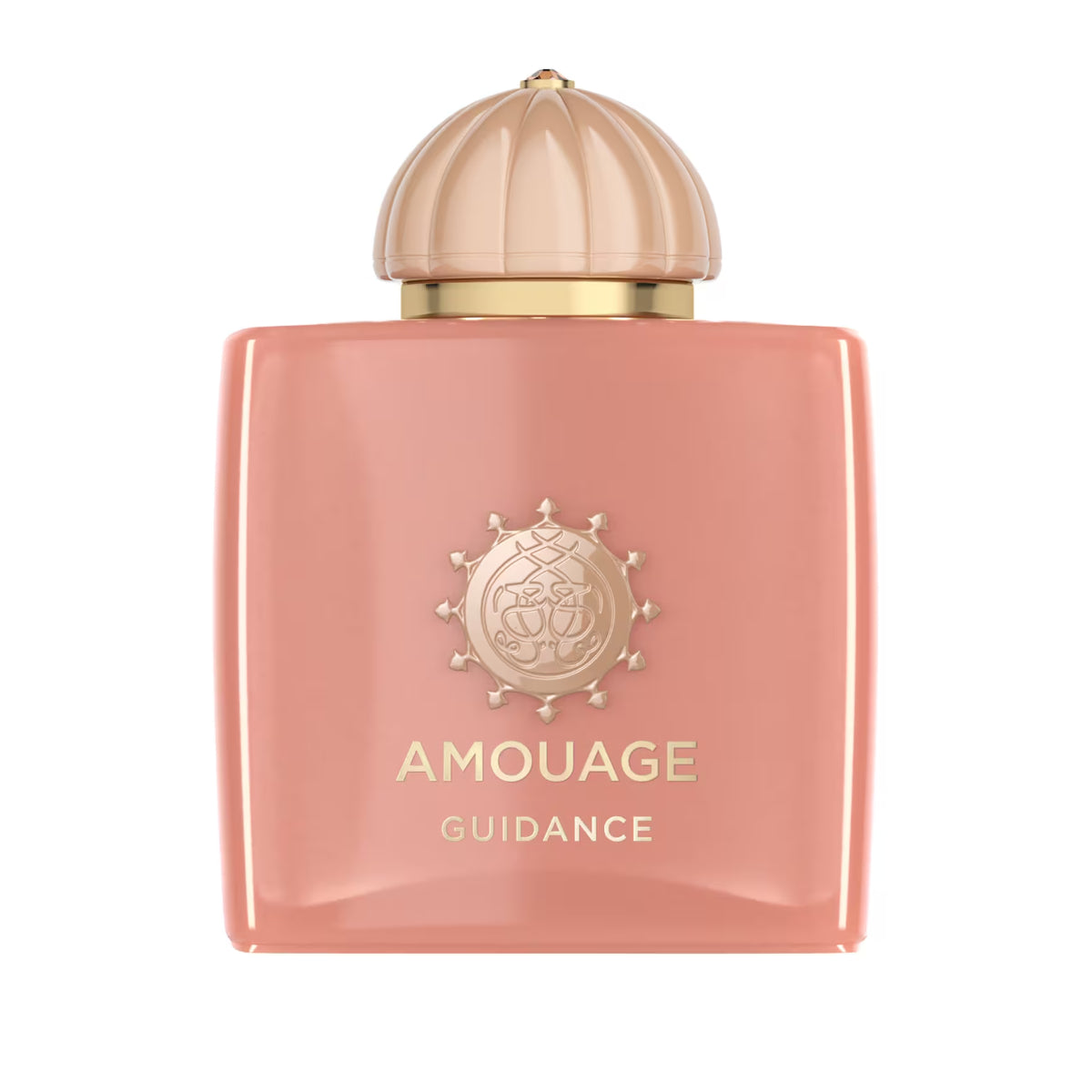 AMOUAGE Guidance EDP - 100ML (Apa de Parfum)