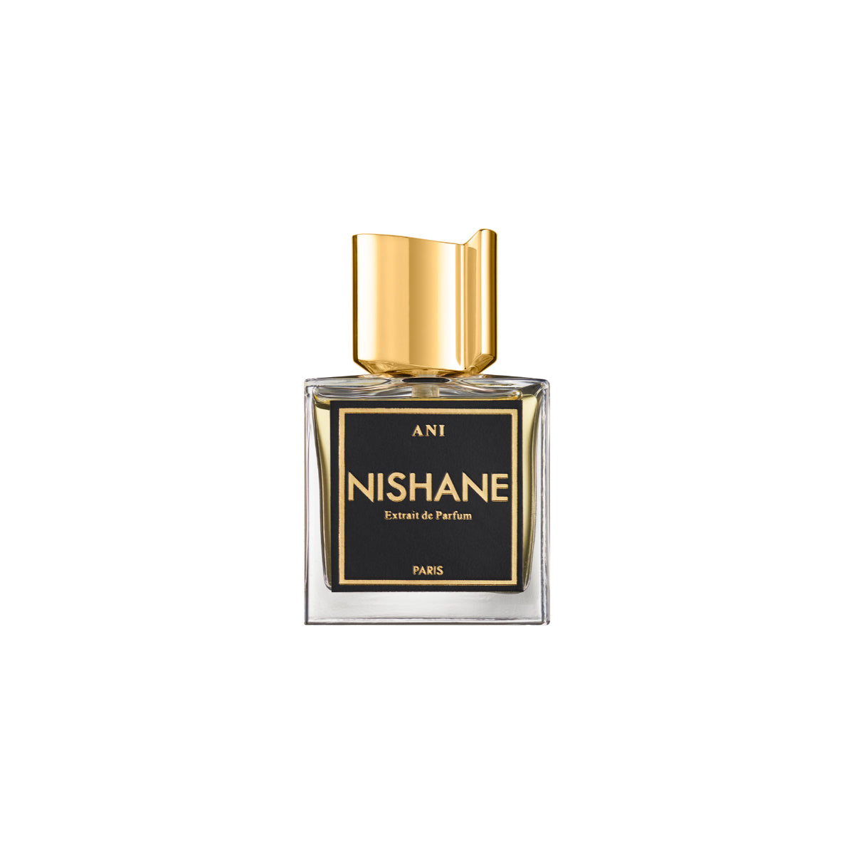 NISHANE Ani Extrait de Parfum - 100ML (Apa de Parfum)